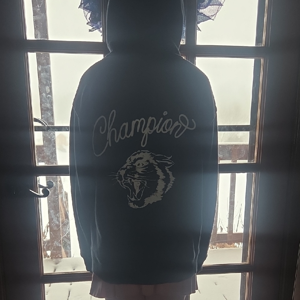 Champion Black Hoodie with Fierce Panther Graphic